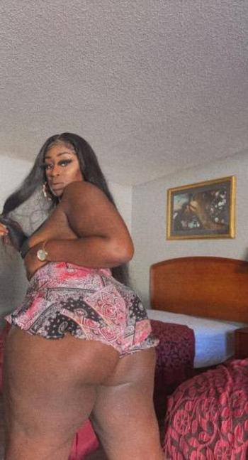 Prissywett, 23  female escort, Orlando
