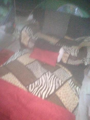 3214287821, female escort, Orlando