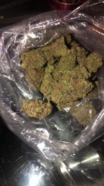 4076032960, female escort, Orlando